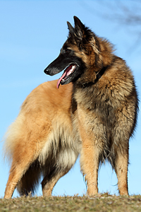 DPP_5006 Kopie.jpg